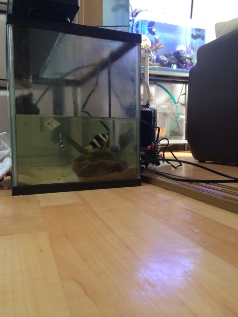f:id:marine_aqua:20131216182809j:plain f:id:marine_aqua:20131216182809j:plain
