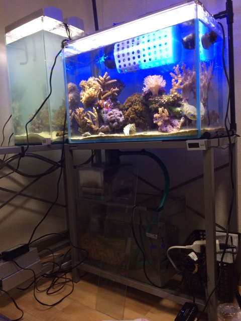 f:id:marine_aqua:20131216182945j:plain f:id:marine_aqua:20131216182945j:plain