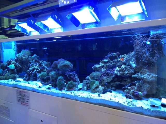 f:id:marine_aqua:20140104181243j:plain f:id:marine_aqua:20140104181243j:plain