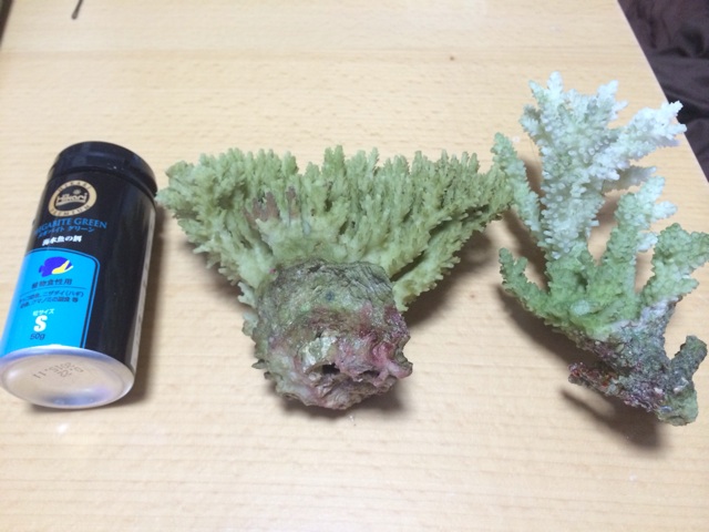 f:id:marine_aqua:20140104181656j:plain f:id:marine_aqua:20140104181656j:plain