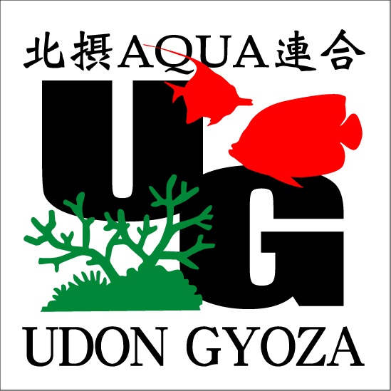 f:id:marine_aqua:20140202223732j:plain f:id:marine_aqua:20140202223732j:plain