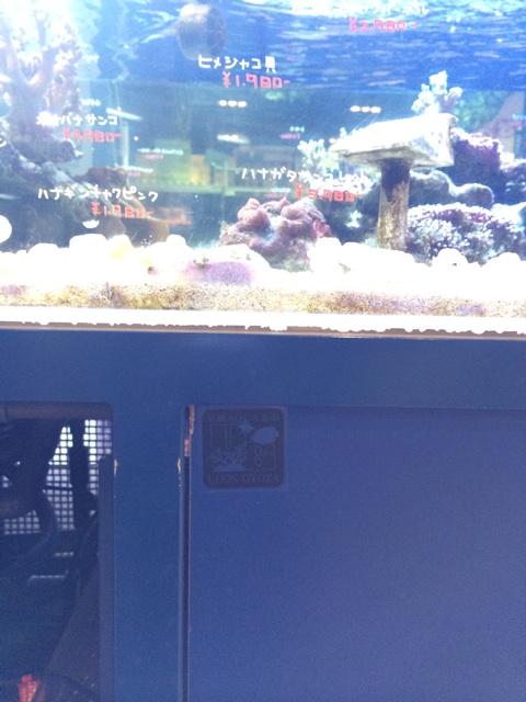 f:id:marine_aqua:20140202223755j:plain f:id:marine_aqua:20140202223755j:plain