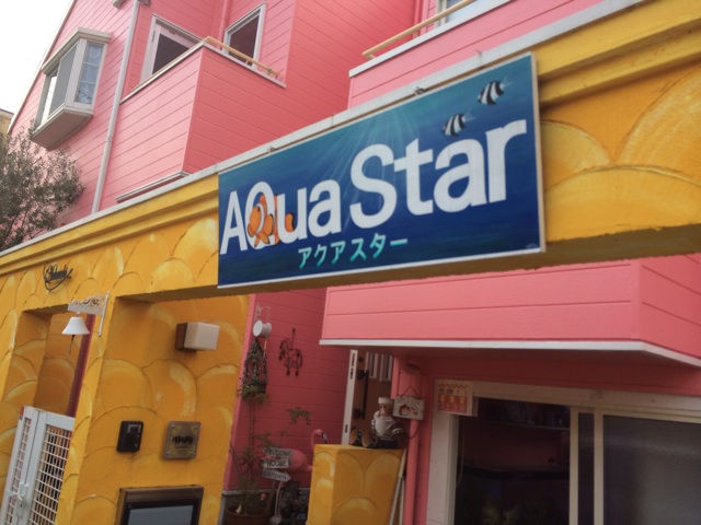 f:id:marine_aqua:20140202224307j:plain f:id:marine_aqua:20140202224307j:plain
