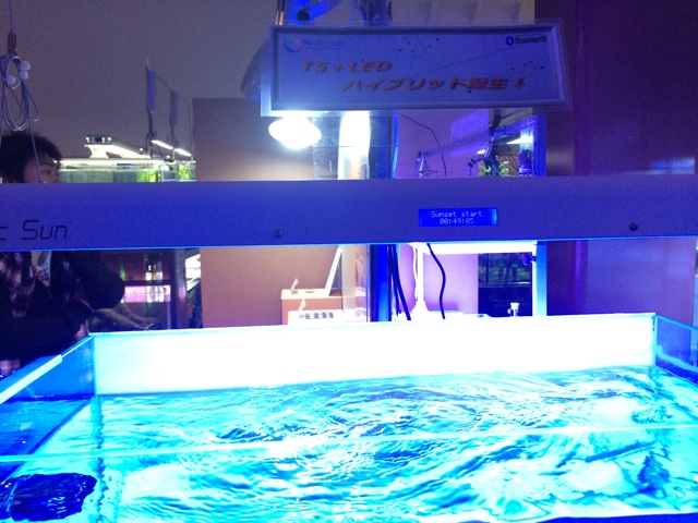 f:id:marine_aqua:20140317174410j:plain f:id:marine_aqua:20140317174410j:plain