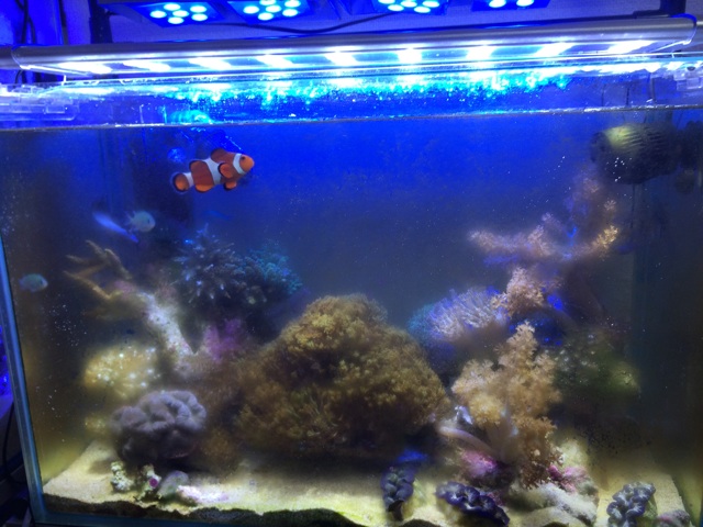 f:id:marine_aqua:20140317174610j:plain f:id:marine_aqua:20140317174610j:plain