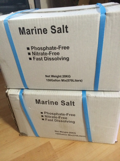 f:id:marine_aqua:20140331182507j:plain f:id:marine_aqua:20140331182507j:plain