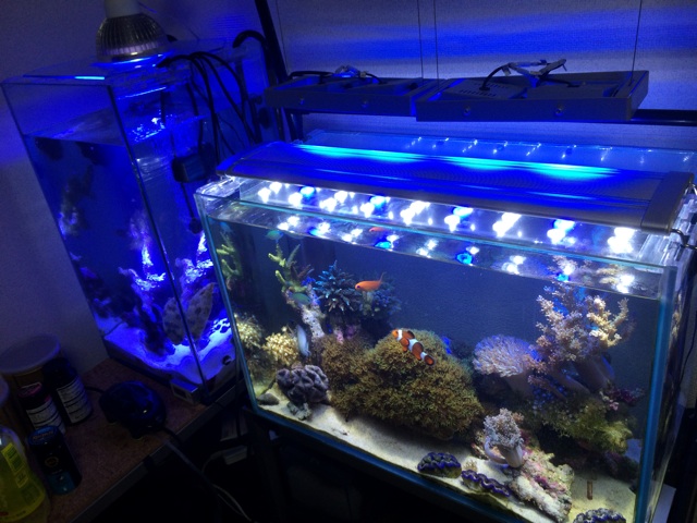 f:id:marine_aqua:20140331182545j:plain f:id:marine_aqua:20140331182545j:plain