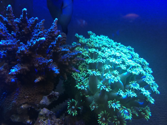 f:id:marine_aqua:20140405192359j:plain f:id:marine_aqua:20140405192359j:plain