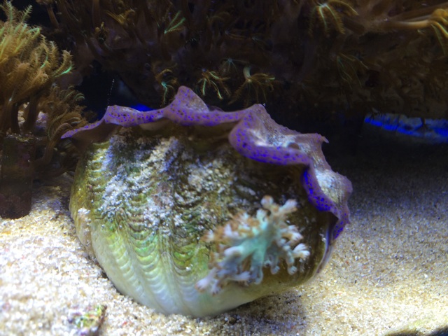f:id:marine_aqua:20140414193435j:plain f:id:marine_aqua:20140414193435j:plain