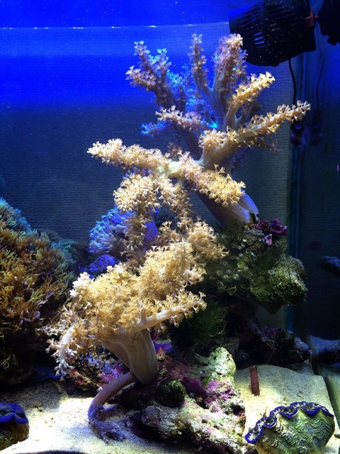 f:id:marine_aqua:20140414195836j:plain f:id:marine_aqua:20140414195836j:plain