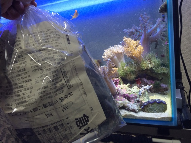 f:id:marine_aqua:20140421112749j:plain f:id:marine_aqua:20140421112749j:plain