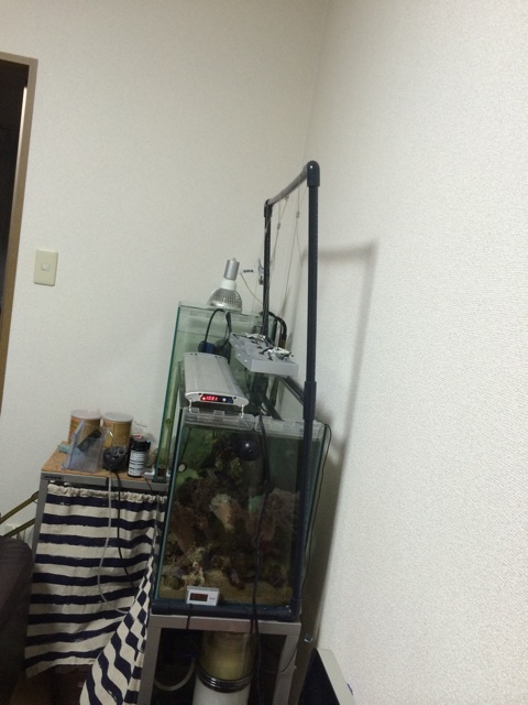 f:id:marine_aqua:20140428192847j:plain f:id:marine_aqua:20140428192847j:plain