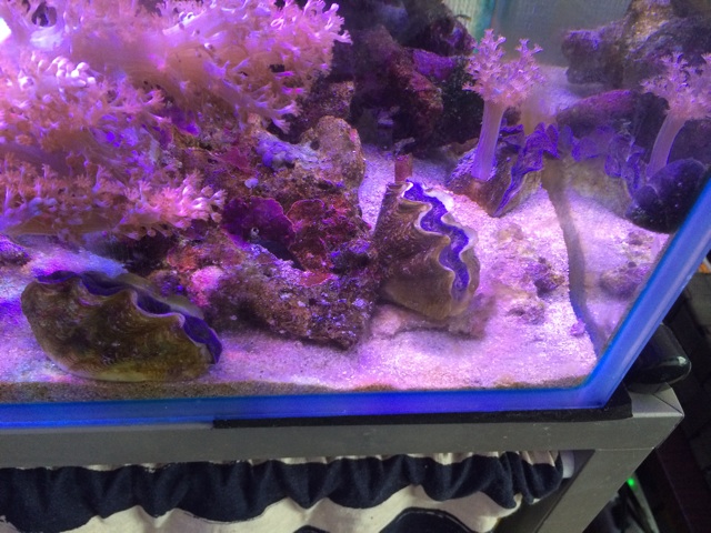 f:id:marine_aqua:20140520155503j:plain f:id:marine_aqua:20140520155503j:plain