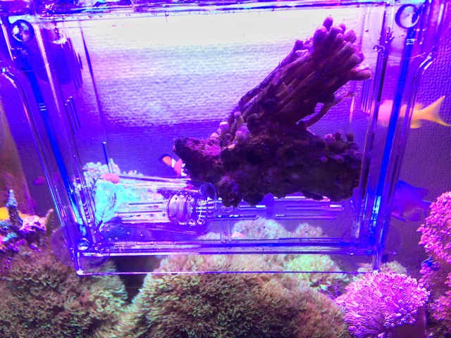 f:id:marine_aqua:20140606171257j:plain f:id:marine_aqua:20140606171257j:plain