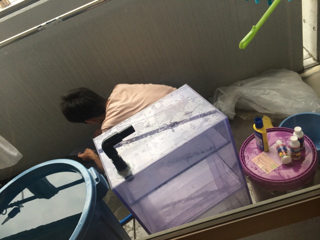 f:id:marine_aqua:20140623202310j:plain f:id:marine_aqua:20140623202310j:plain