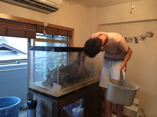 f:id:marine_aqua:20140623202720j:plain f:id:marine_aqua:20140623202720j:plain
