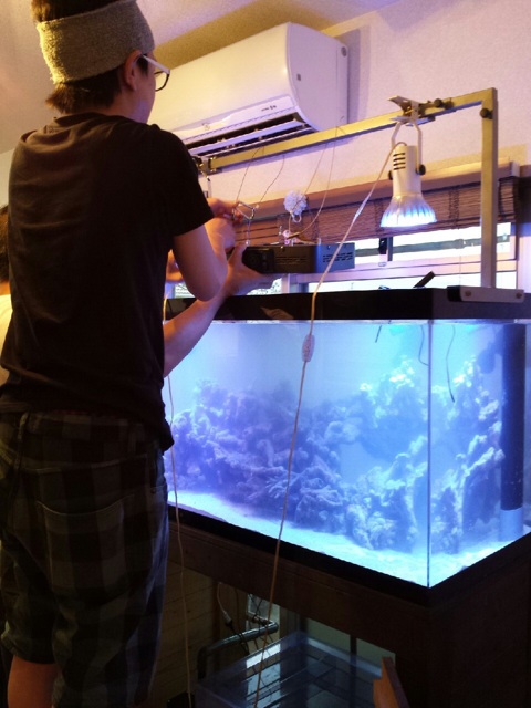 f:id:marine_aqua:20140623204405j:plain f:id:marine_aqua:20140623204405j:plain