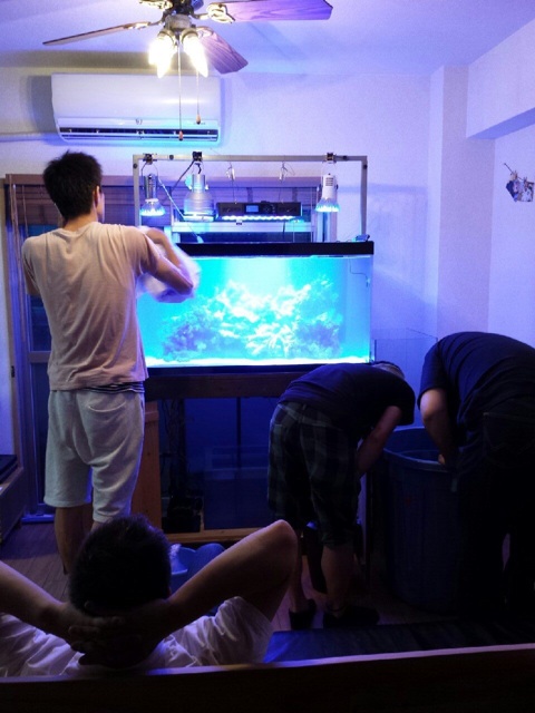 f:id:marine_aqua:20140623204621j:plain f:id:marine_aqua:20140623204621j:plain