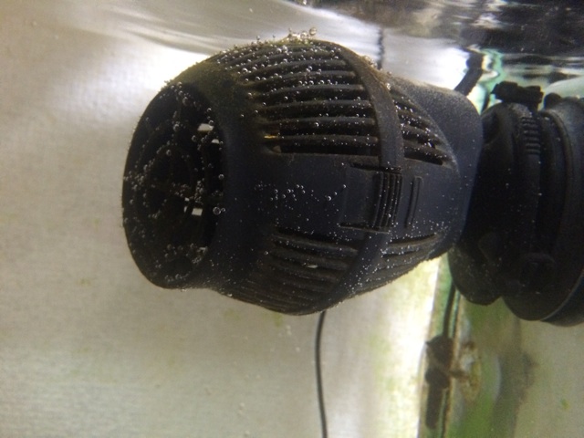 f:id:marine_aqua:20140707145305j:plain f:id:marine_aqua:20140707145305j:plain