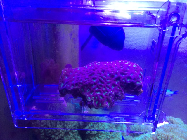 f:id:marine_aqua:20140816124148j:plain f:id:marine_aqua:20140816124148j:plain