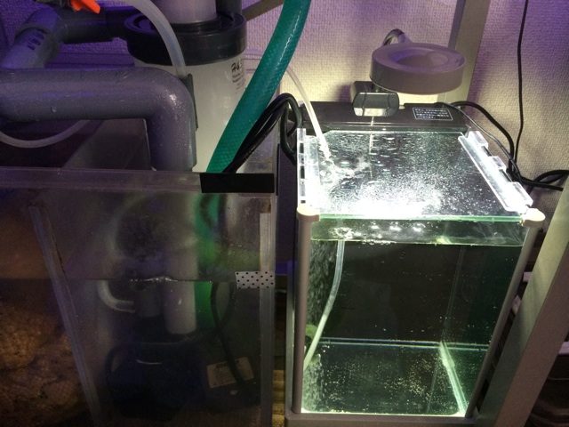 f:id:marine_aqua:20140816124506j:plain f:id:marine_aqua:20140816124506j:plain