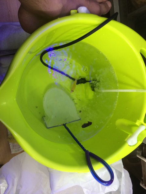 f:id:marine_aqua:20140816124604j:plain f:id:marine_aqua:20140816124604j:plain