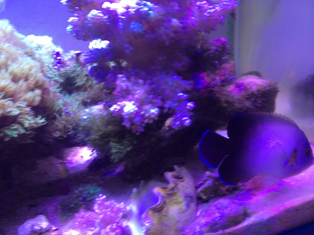 f:id:marine_aqua:20140816125807j:plain f:id:marine_aqua:20140816125807j:plain