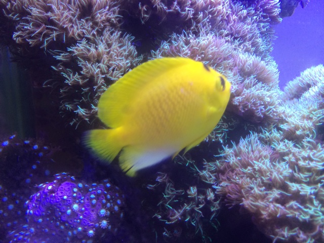 f:id:marine_aqua:20140816125840j:plain f:id:marine_aqua:20140816125840j:plain