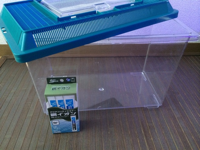 f:id:marine_aqua:20140913154426j:plain f:id:marine_aqua:20140913154426j:plain