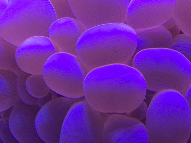f:id:marine_aqua:20141130180704j:plain f:id:marine_aqua:20141130180704j:plain