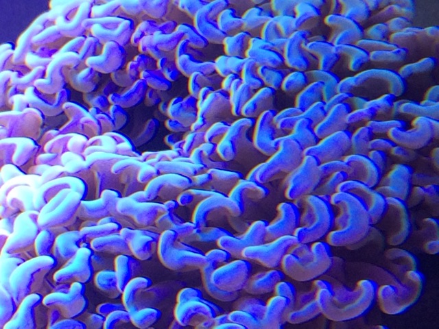 f:id:marine_aqua:20141130181036j:plain f:id:marine_aqua:20141130181036j:plain