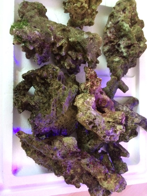 f:id:marine_aqua:20150201171844j:plain f:id:marine_aqua:20150201171844j:plain