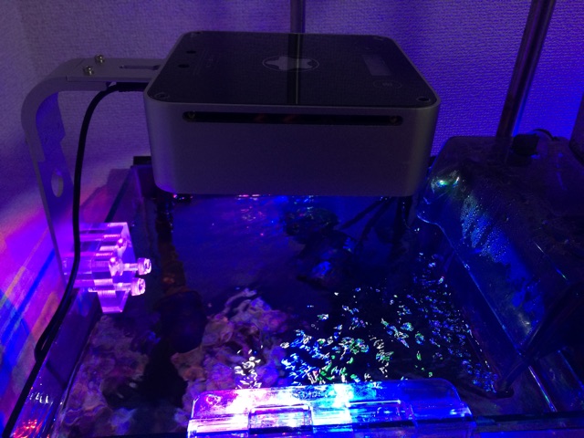 f:id:marine_aqua:20150201172211j:plain f:id:marine_aqua:20150201172211j:plain