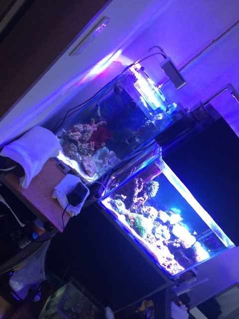 f:id:marine_aqua:20150222144805j:plain f:id:marine_aqua:20150222144805j:plain