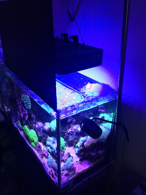 f:id:marine_aqua:20150222145334j:plain f:id:marine_aqua:20150222145334j:plain