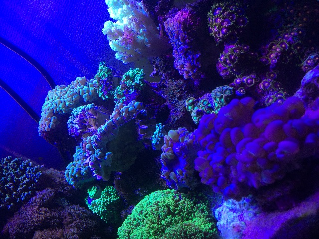 f:id:marine_aqua:20150502130520j:image f:id:marine_aqua:20150502130520j:image