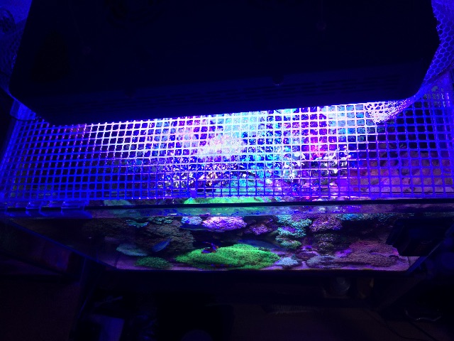 f:id:marine_aqua:20150531165325j:image f:id:marine_aqua:20150531165325j:image