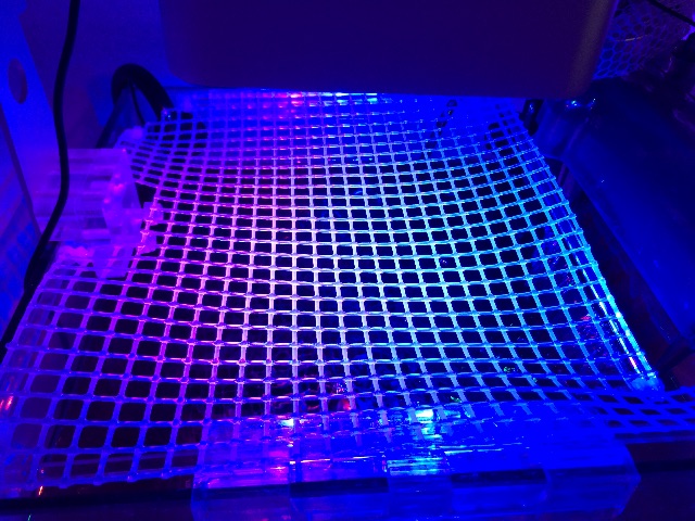 f:id:marine_aqua:20150531165342j:image f:id:marine_aqua:20150531165342j:image