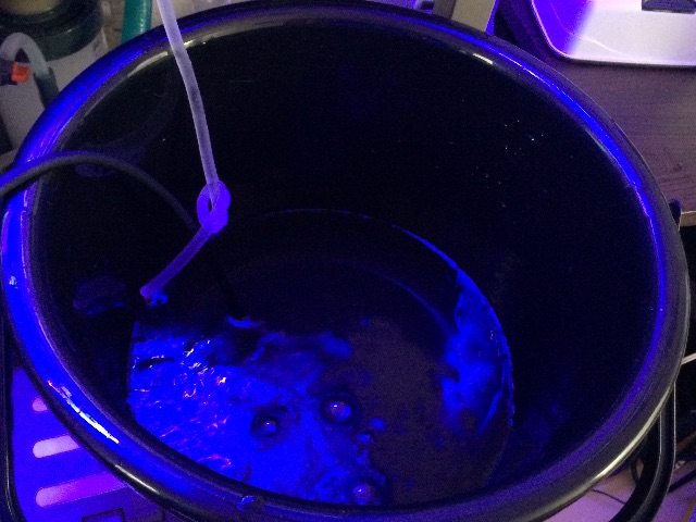 f:id:marine_aqua:20150607164908j:image