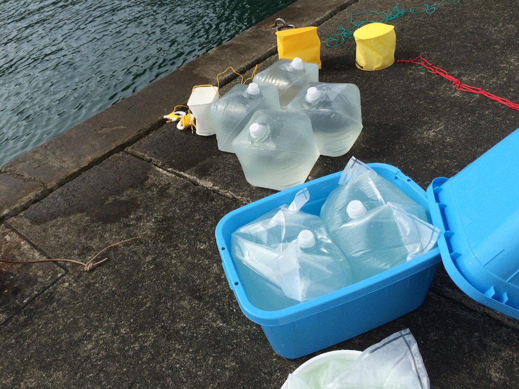 f:id:marine_aqua:20150906160544j:image f:id:marine_aqua:20150906160544j:image