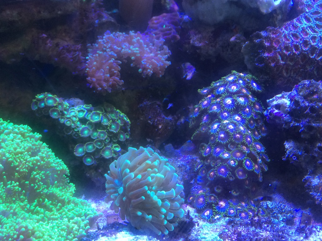 f:id:marine_aqua:20150906161958j:image f:id:marine_aqua:20150906161958j:image