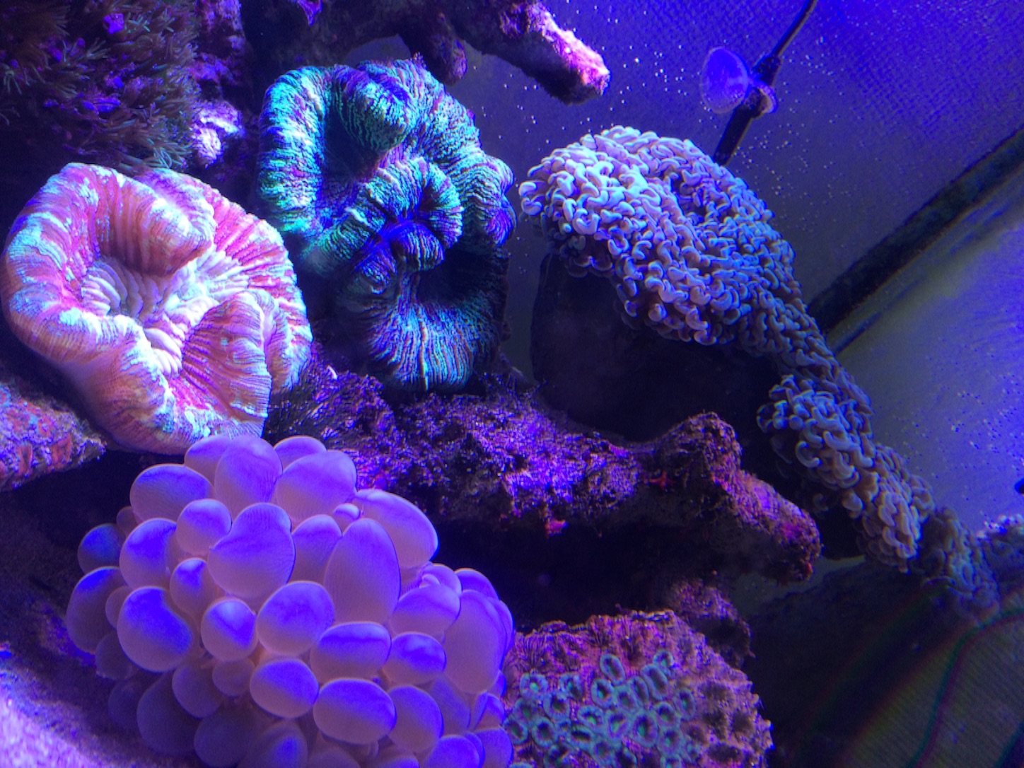 f:id:marine_aqua:20151021200233j:image f:id:marine_aqua:20151021200233j:image