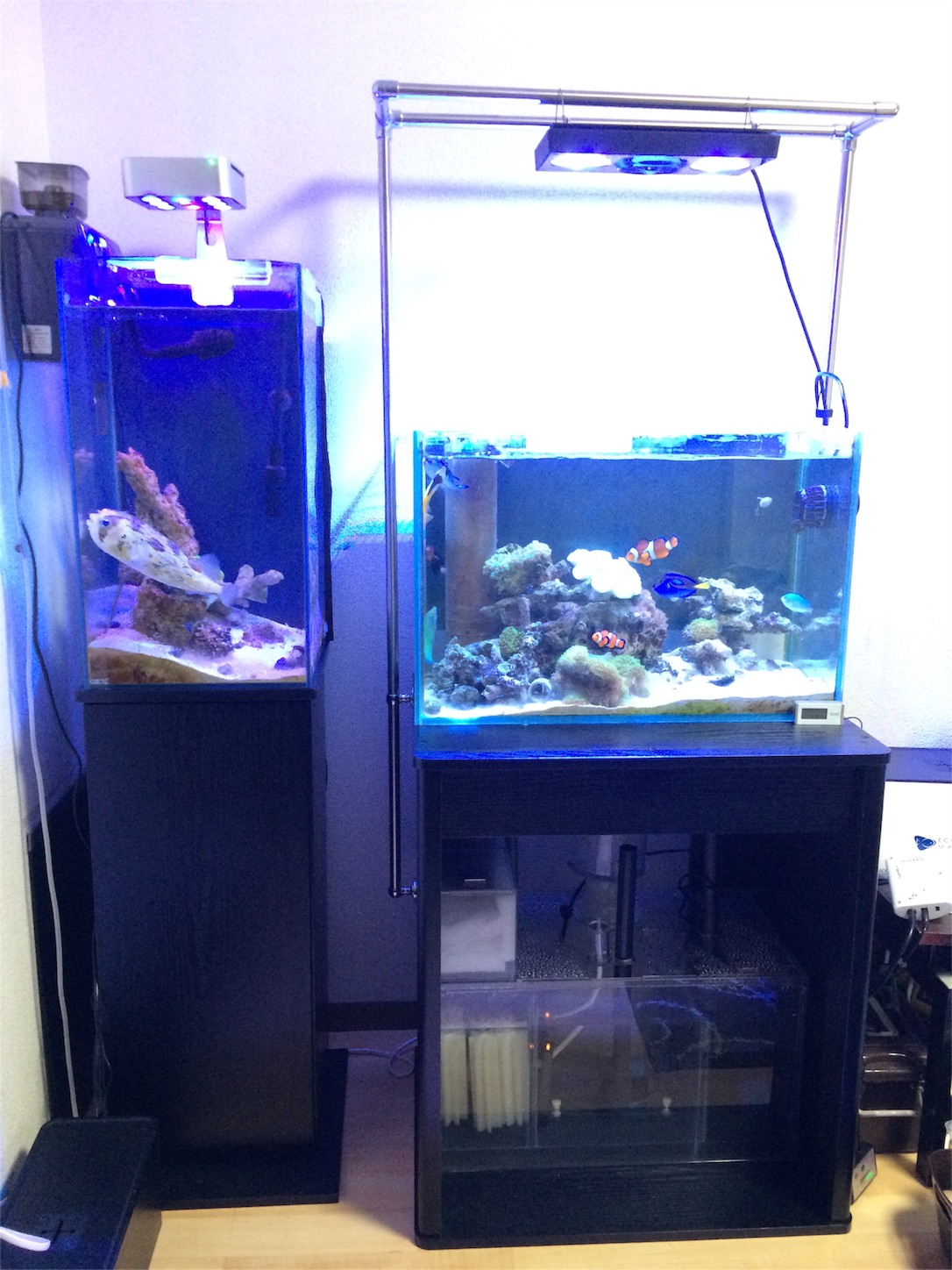 f:id:marine_aqua:20160522172534j:image f:id:marine_aqua:20160522172534j:image