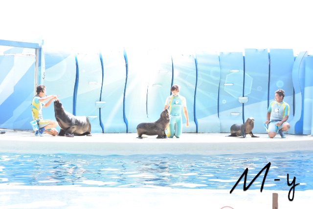 f:id:mariny5:20150626111117j:image f:id:mariny5:20150626111117j:image