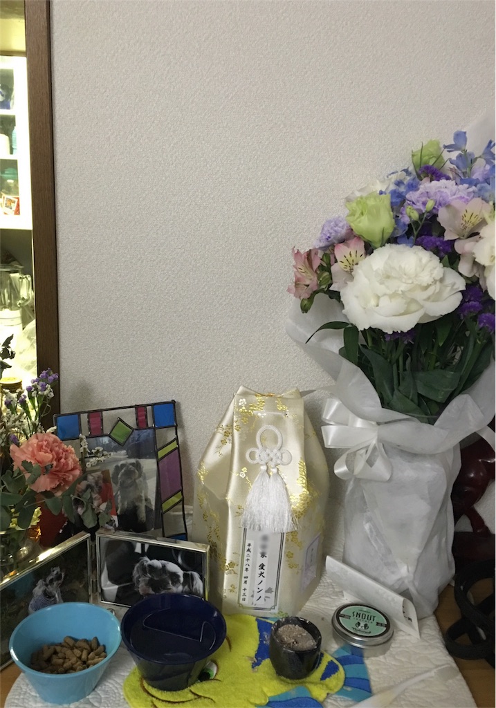 f:id:mariny5:20160513173648j:image f:id:mariny5:20160513173648j:image