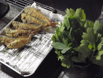 f:id:mario-mariko:20091028193404j:image f:id:mario-mariko:20091028193404j:image