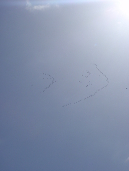 f:id:mario-mariko:20100331031628j:image f:id:mario-mariko:20100331031628j:image