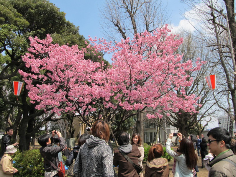 f:id:mariorima:20120406121753j:image:w640 f:id:mariorima:20120406121753j:image:w640
