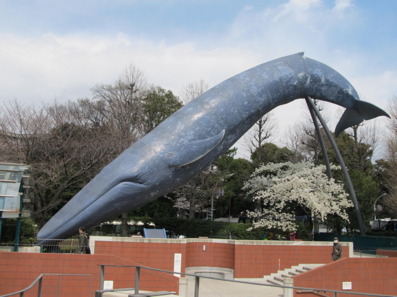 f:id:mariorima:20120406124051j:image:w640 f:id:mariorima:20120406124051j:image:w640
