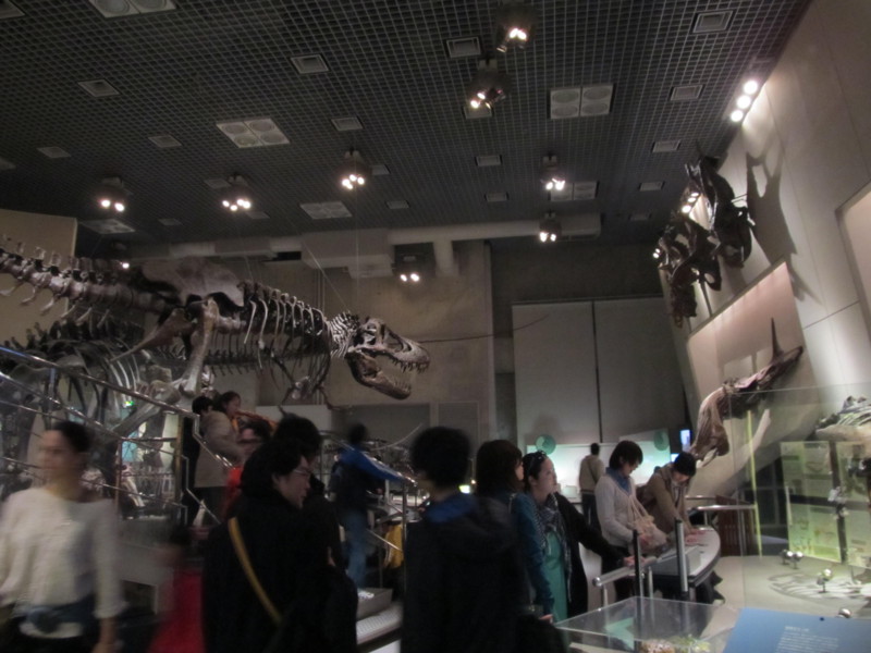 f:id:mariorima:20120406155738j:image:w640 f:id:mariorima:20120406155738j:image:w640
